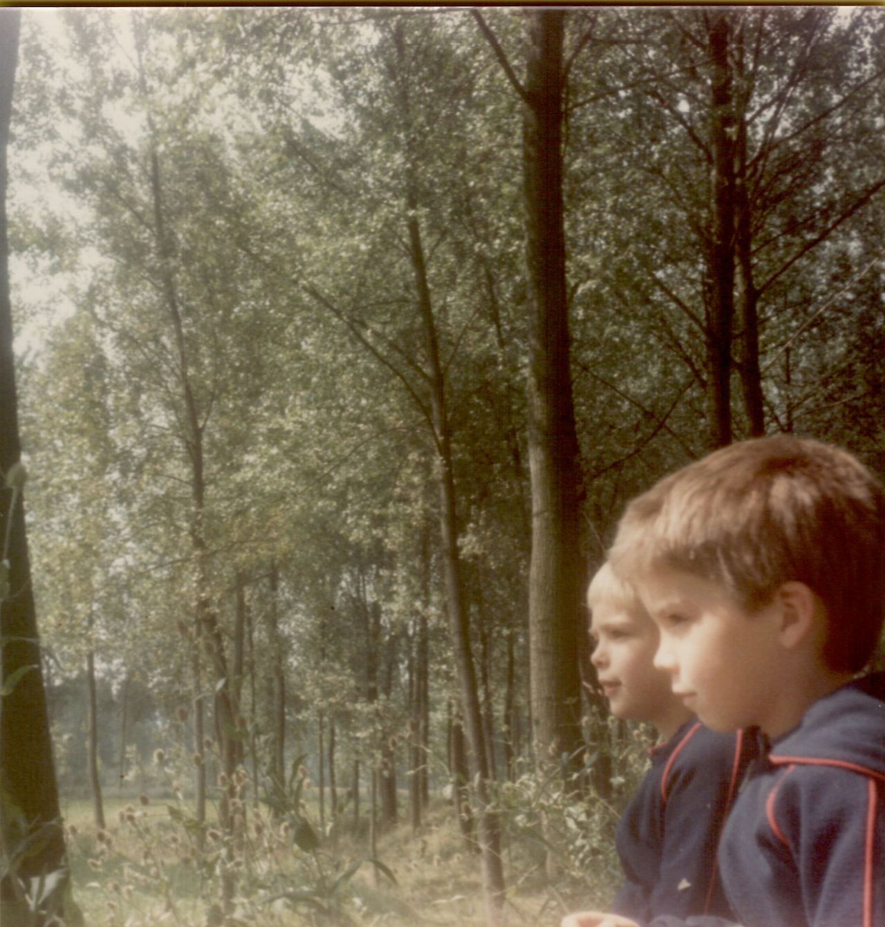 Two young boys in matching jackets stand in a wooded area, looking ahead with focused expressions.