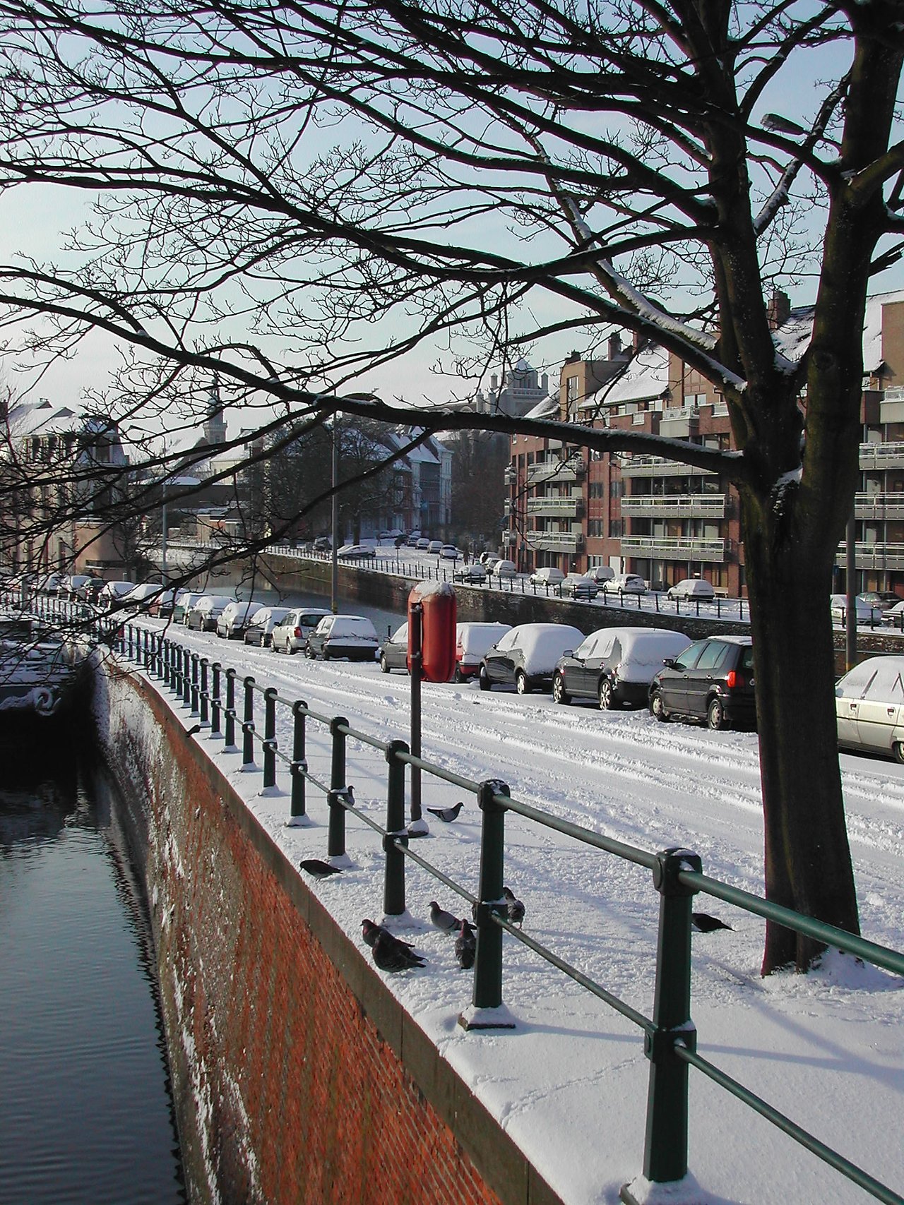 A snowy street in Ghent with parked cars, pigeons on a railing, and a canal beside a brick wall.