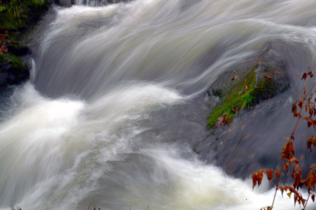 Rushing water flows over rocks, creating a small rapid with white, foamy currents and patches of green moss.