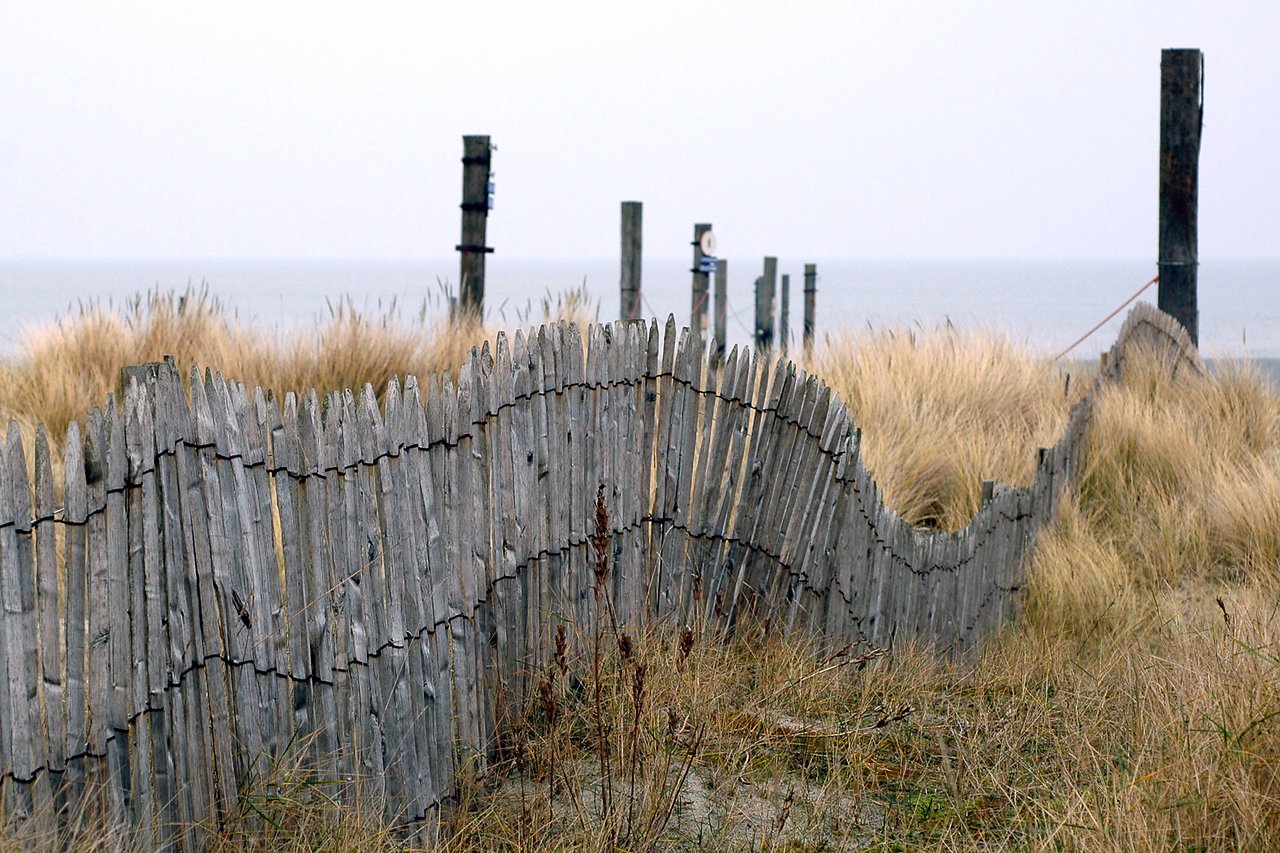 A weathered wooden fence curves through tall beach grass with wooden posts and the ocean in the background.