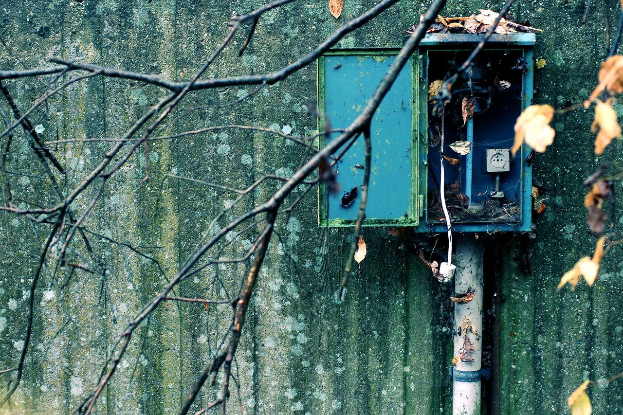 An old electrical box with an open door, a disconnected plug, and fallen leaves covering its surface.