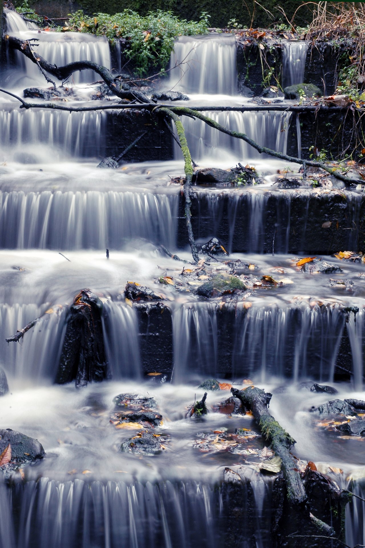 Water flows down multiple rock ledges, with fallen branches and leaves scattered across the surface.