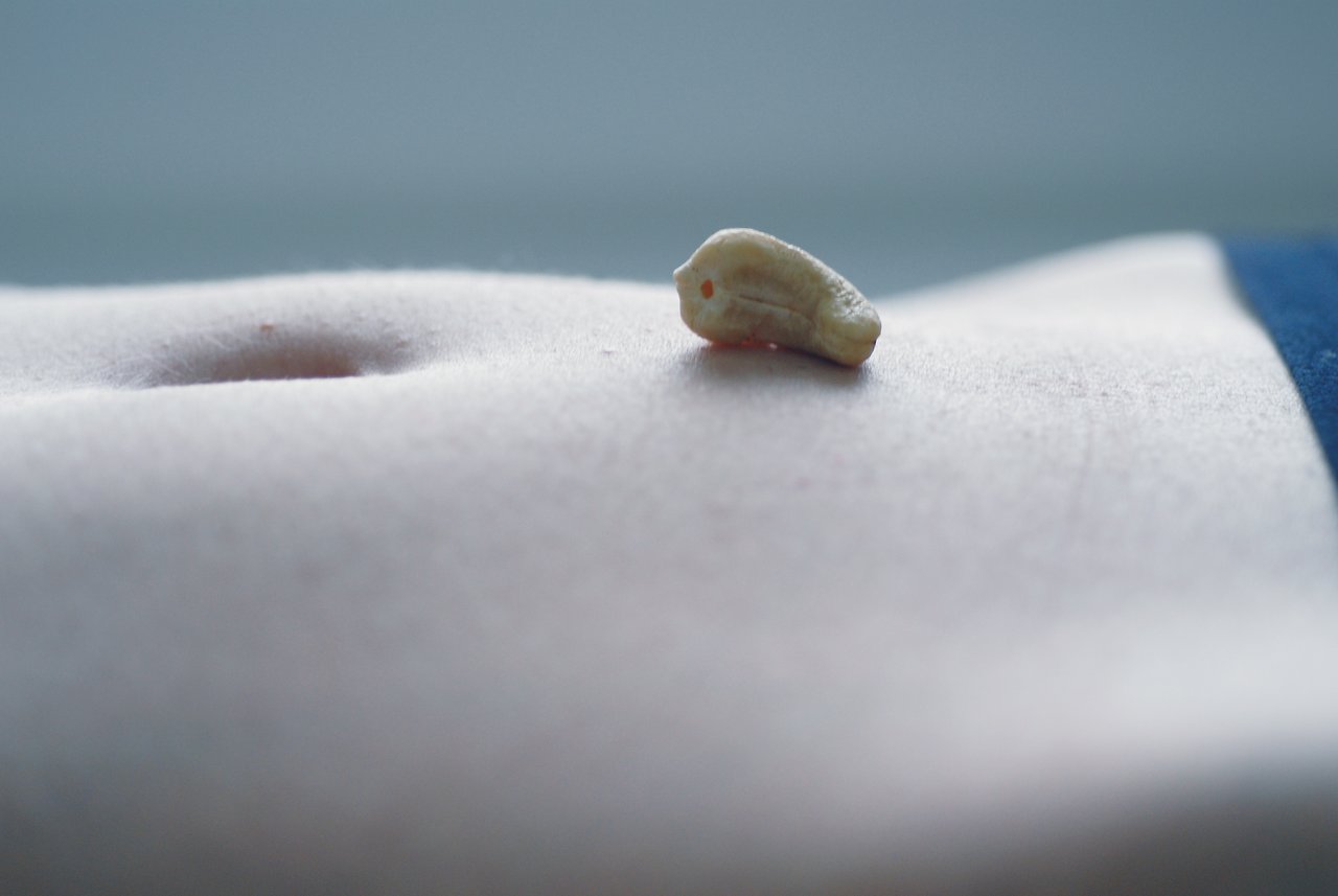 A single cashew nut rests on a person's bare stomach near their navel.