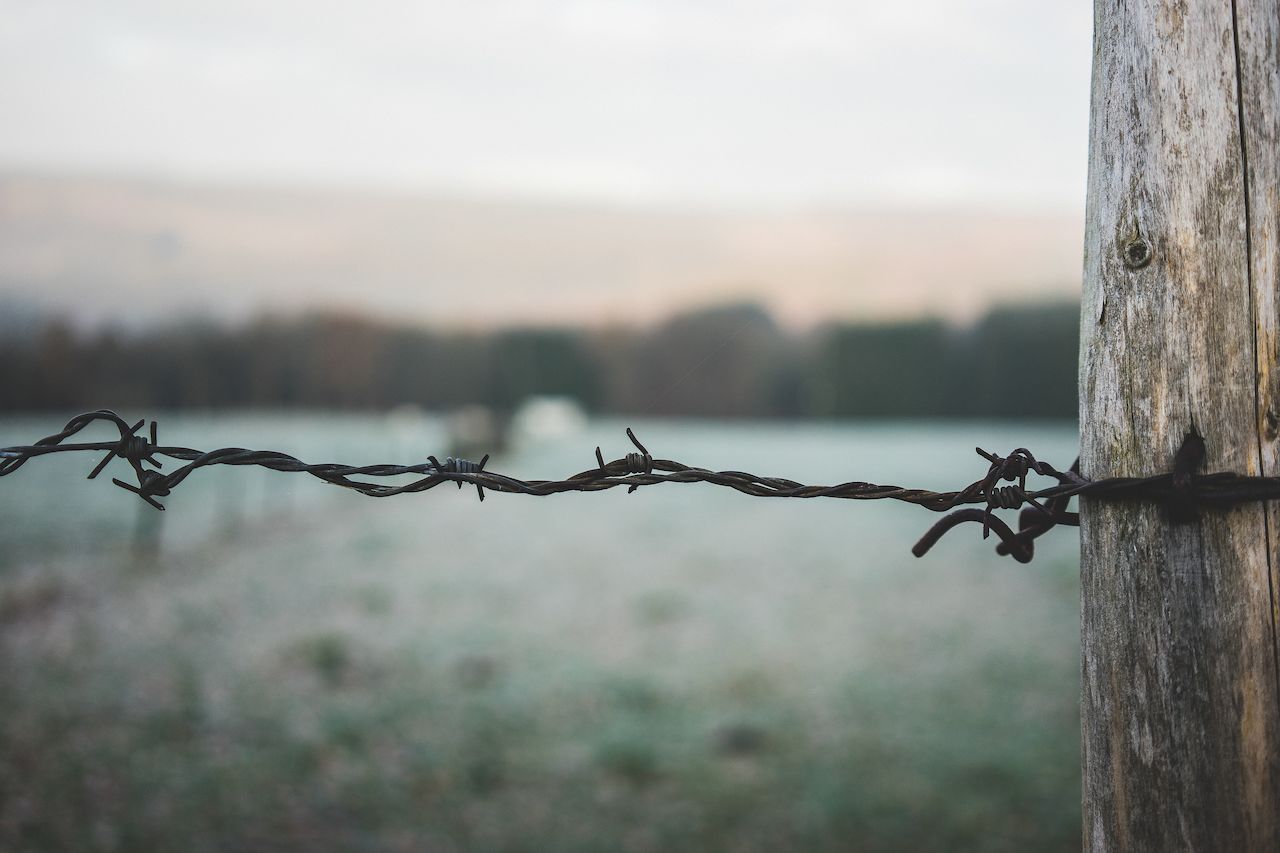 A close-up of barbed wire wrapped around a wooden post, stretching across a blurred outdoor landscape.