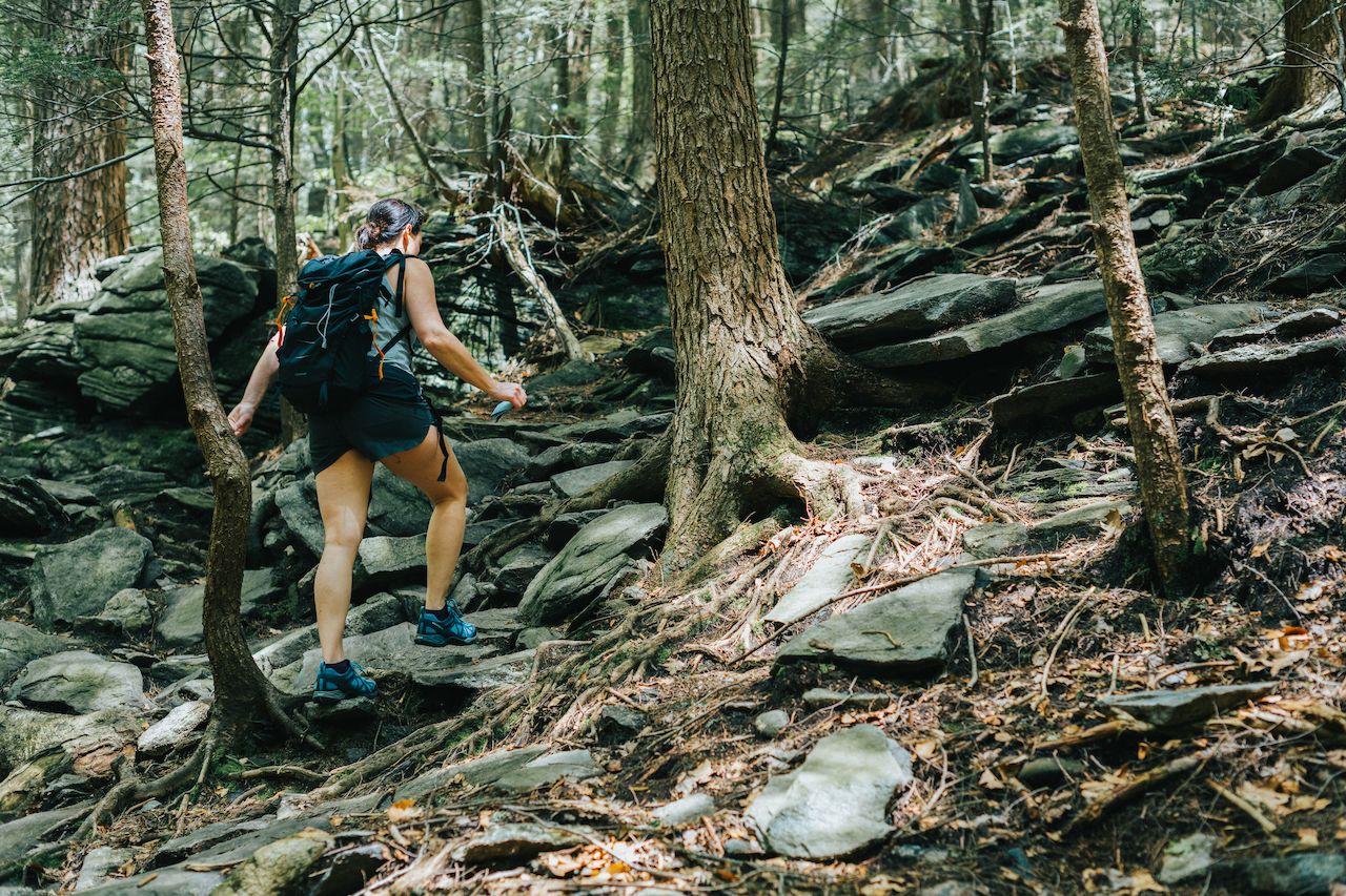 Hiking the Wachusett Summit Loop