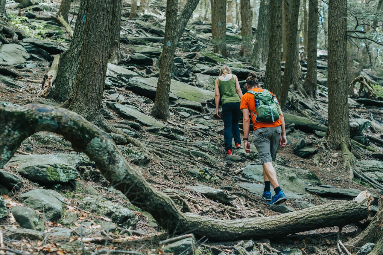 Hiking the Wachusett Summit Loop