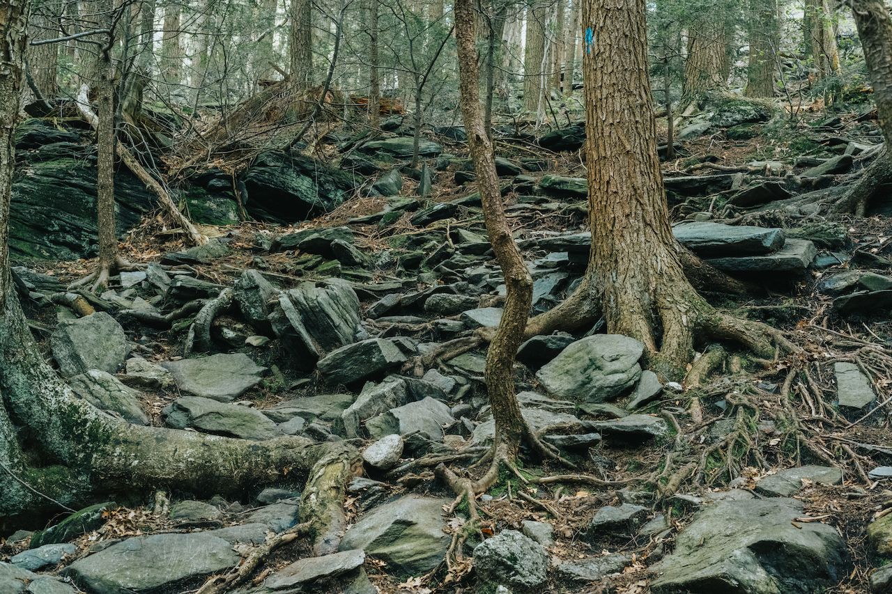 Hiking the Wachusett Summit Loop