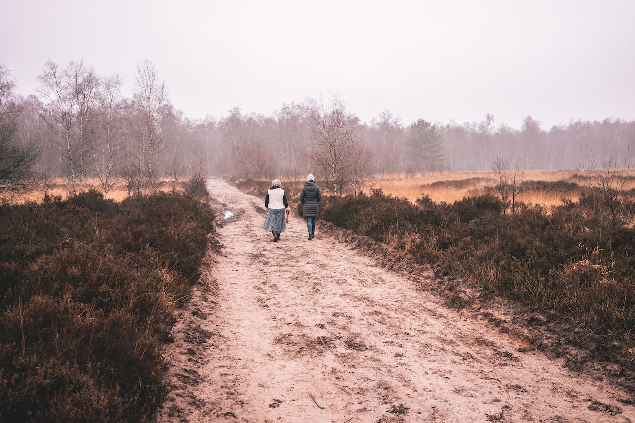 Two people walk side by side on a dirt path through a foggy, open landscape with bare trees.