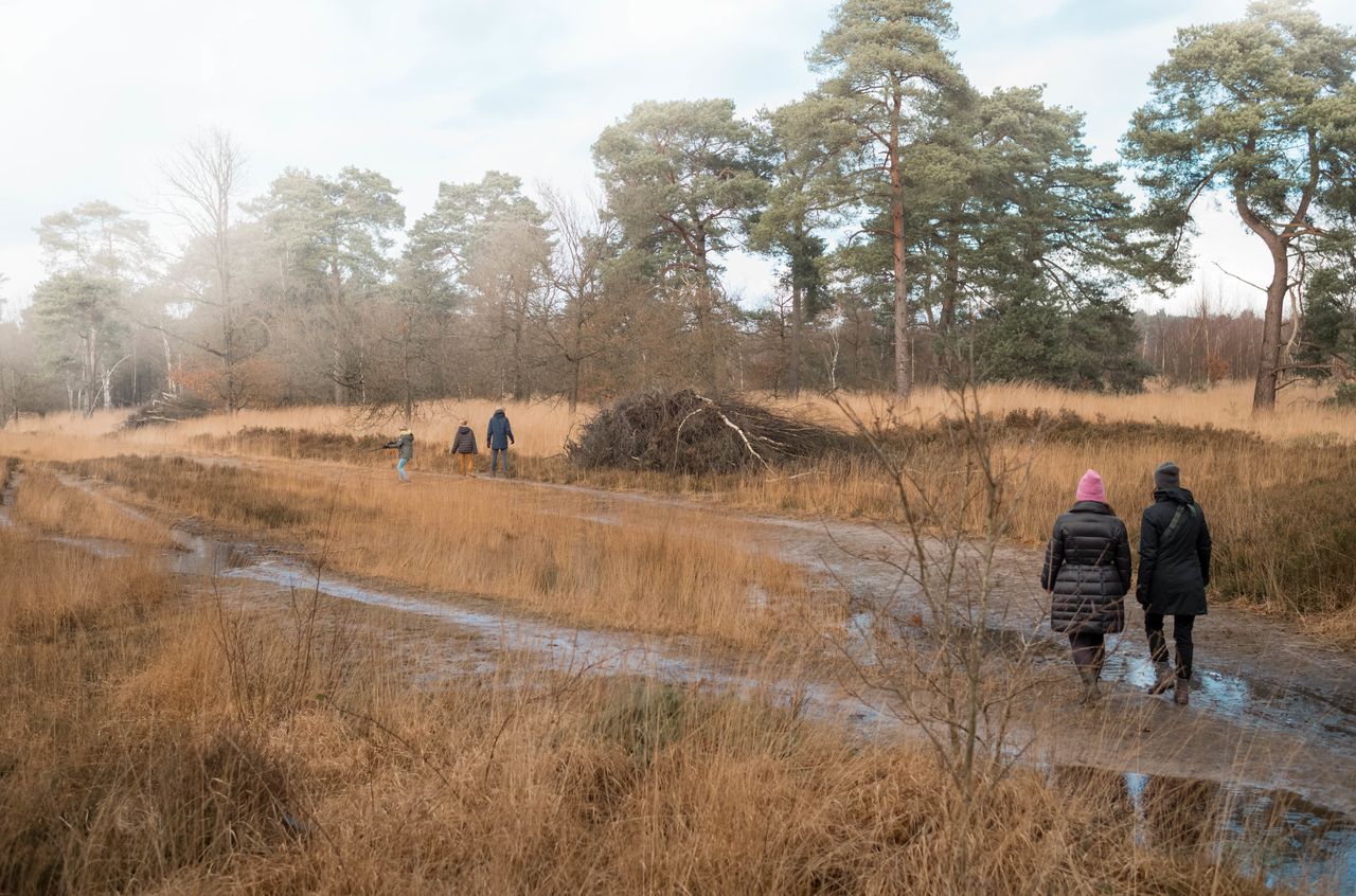 People walking in fields with grass.
