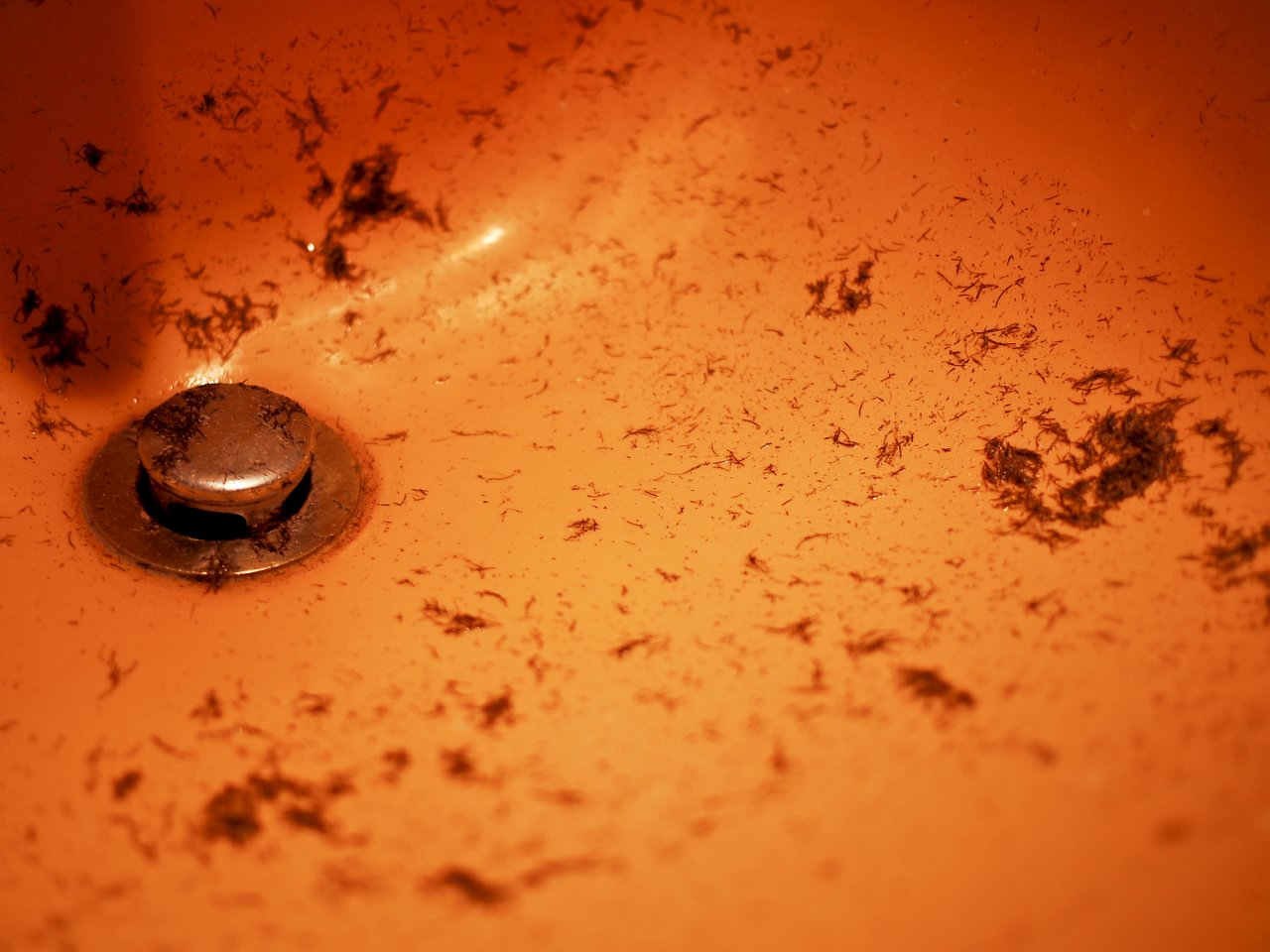 A bathroom sink with freshly shaved facial hair clippings scattered around the drain.