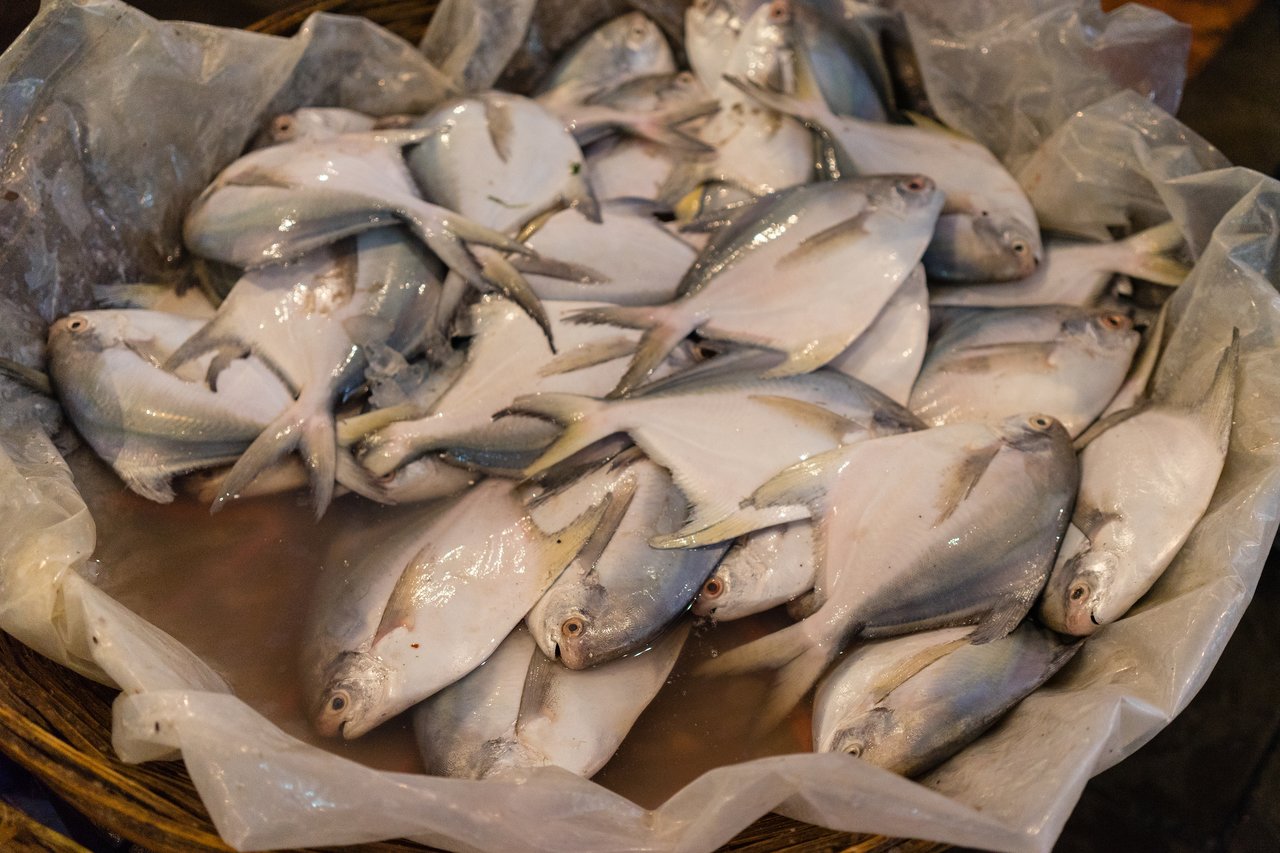 A basket filled with fresh, silver-colored fish on a plastic-lined surface at a market.