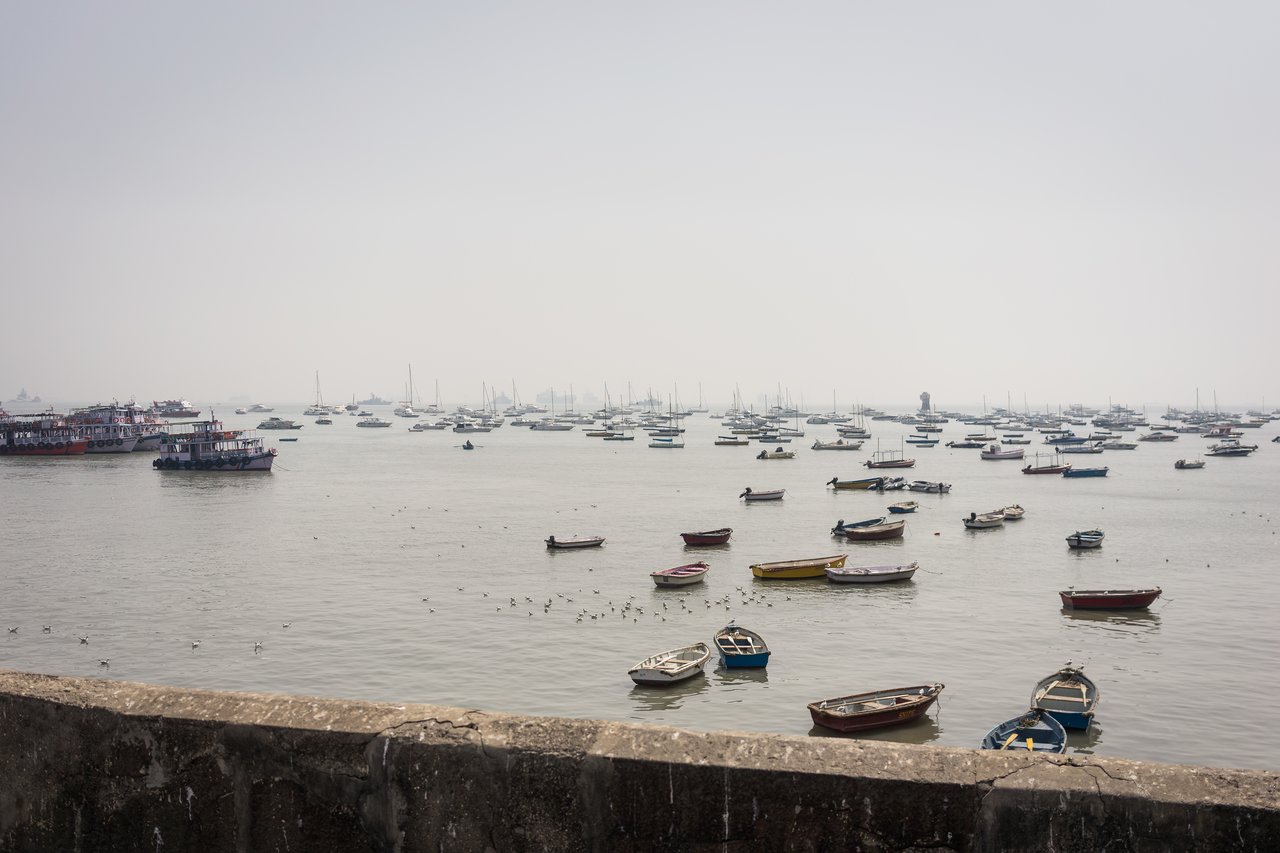 Many boats of different sizes float on calm water, with a few larger passenger boats on the left side.