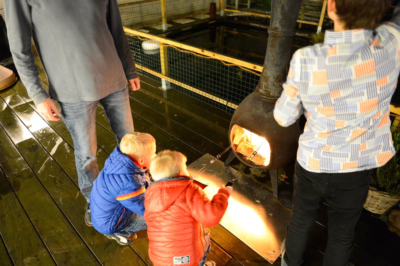 Two children in jackets roast marshmallows over an outdoor fire while an adult tends to the flames.