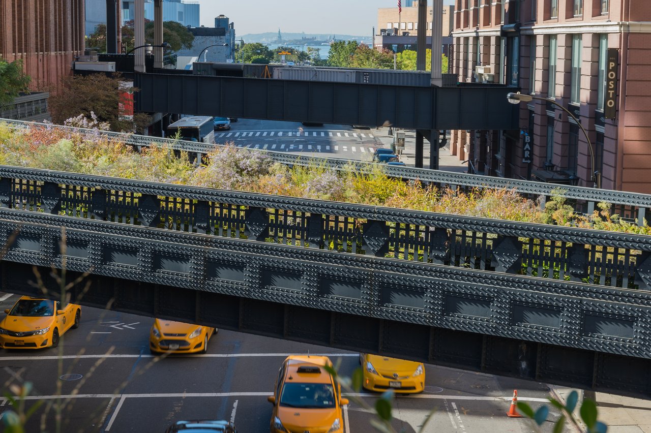 An elevated park with greenery on a metal structure above a street with yellow taxis in New York City.