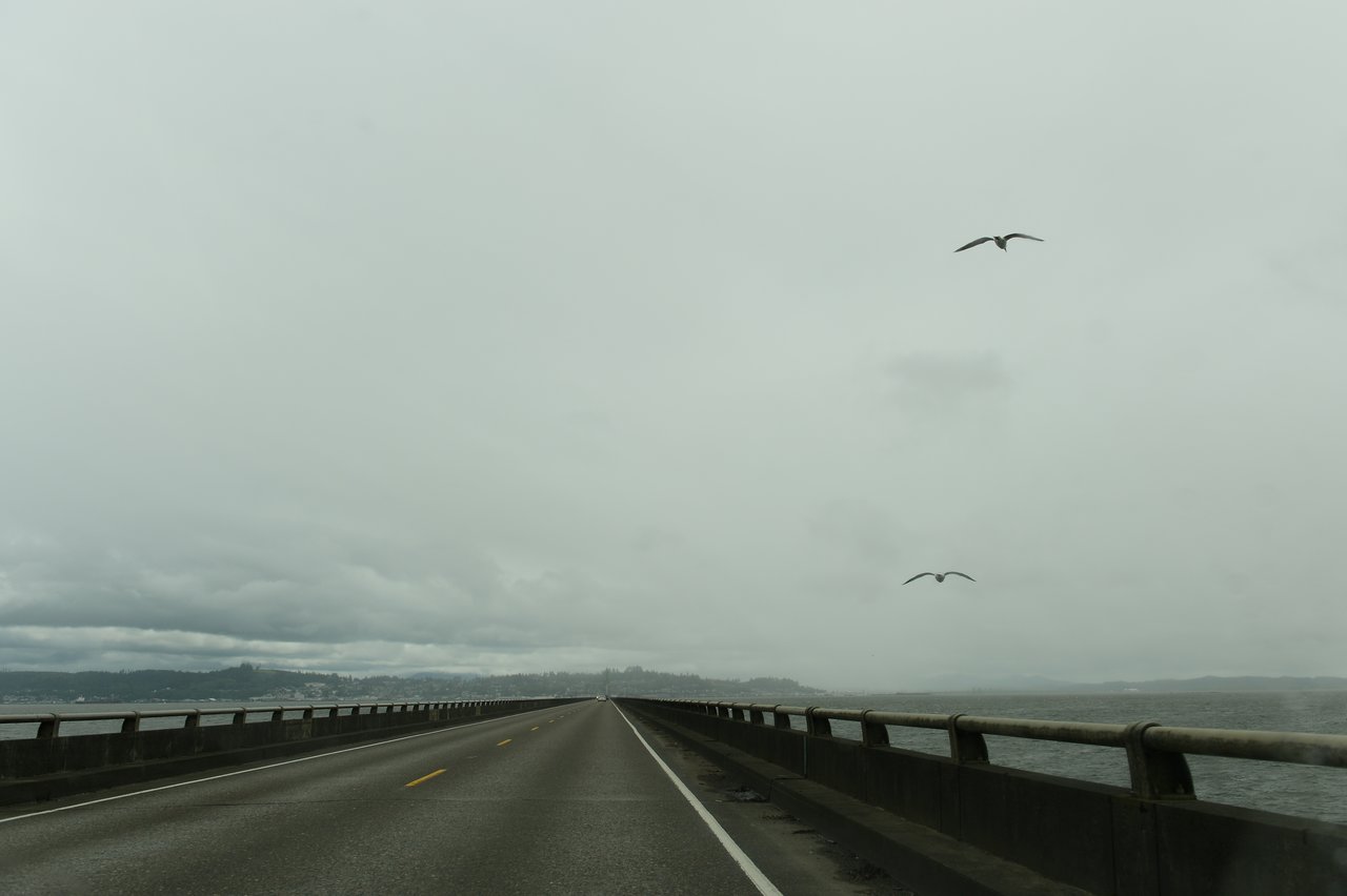 A long bridge stretches over the water under a cloudy sky, with two birds flying above.