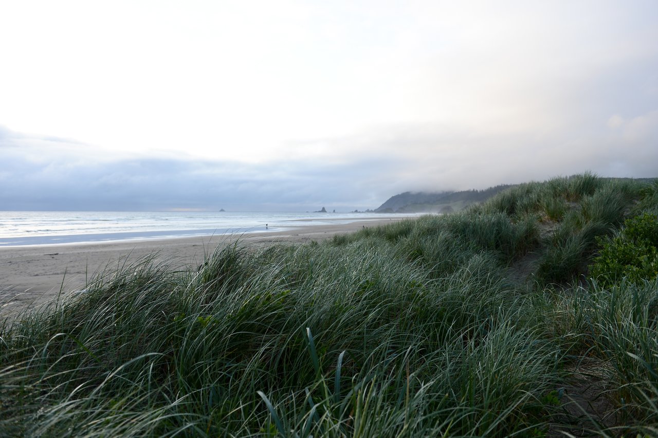 A sandy beach with ocean waves, grassy dunes in the foreground, and distant rock formations under a cloudy sky.