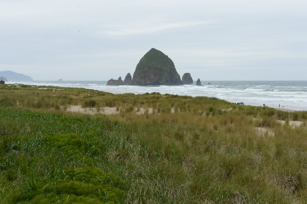 A large rock formation rises from the ocean near a sandy beach with grassy dunes and scattered visitors.
