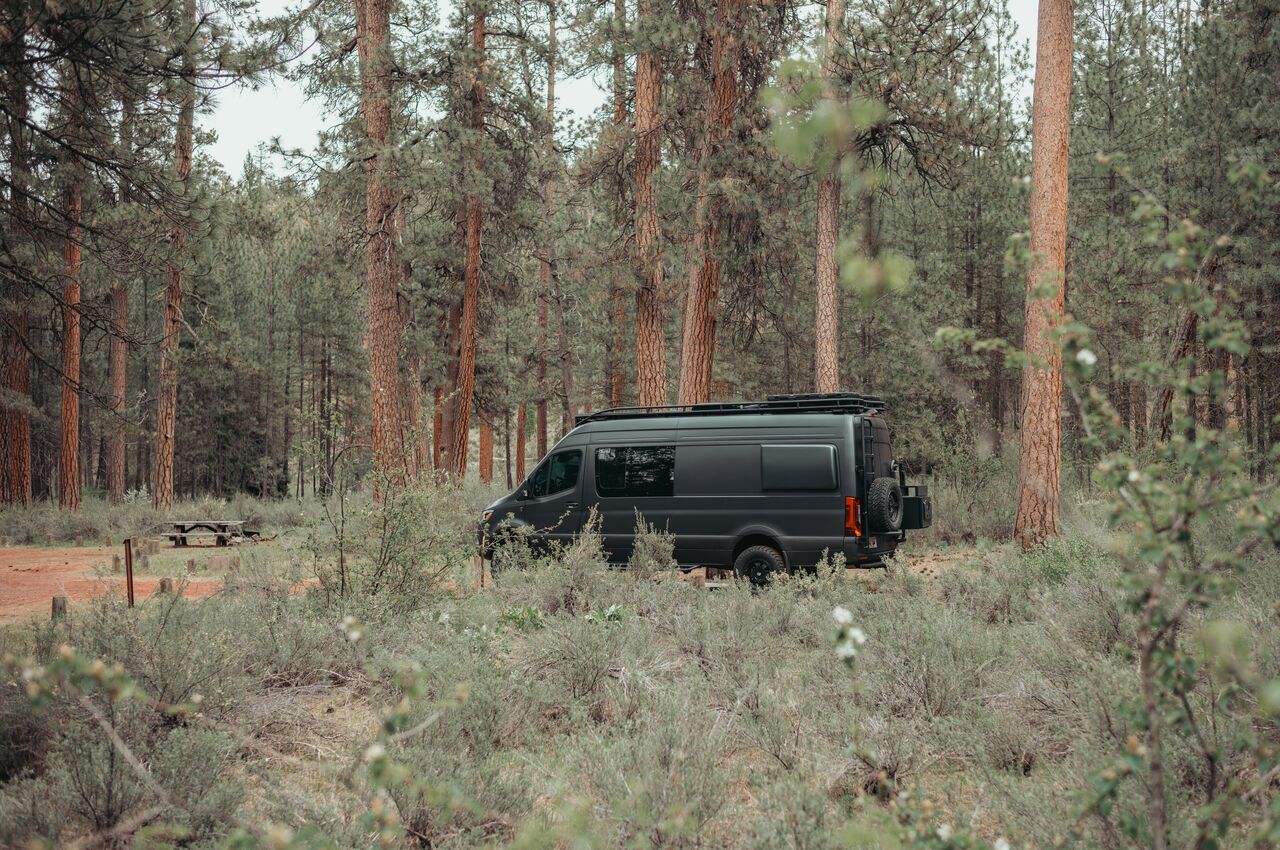 A black camper van is parked in a forested campground surrounded by tall pine trees.