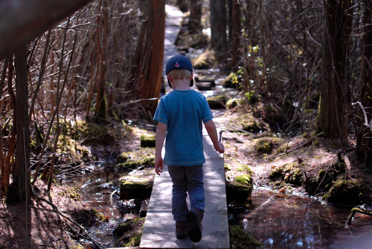 A child in a blue shirt and cap walks along a narrow wooden boardwalk through a wooded trail.