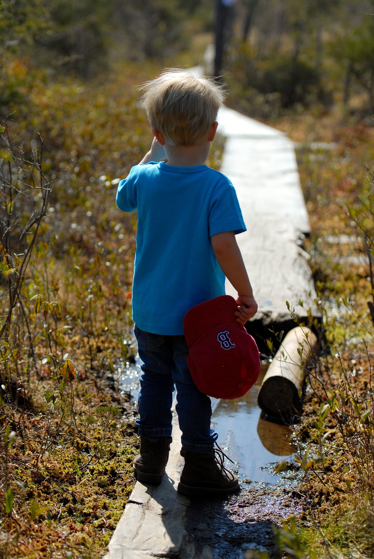 A young child in a blue shirt walks along a narrow wooden trail, holding a red baseball cap.