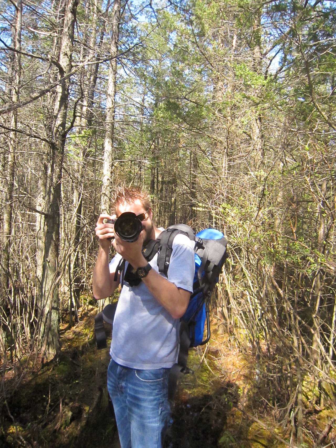A person with a backpack holds a camera up to their face while standing on a forest trail.