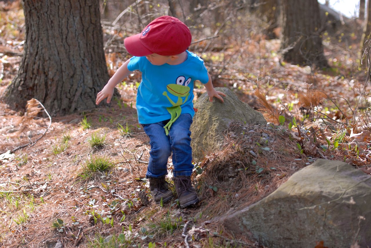 A child in a red cap and blue shirt steps carefully over rocks on a forest trail.