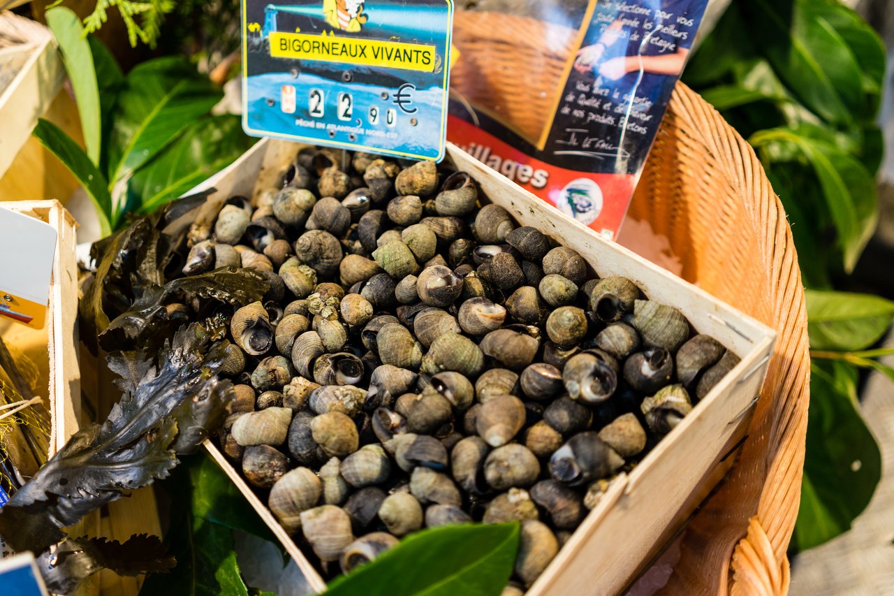 A wooden crate filled with live sea snails (bigorneaux) for sale at a market, with a price sign.