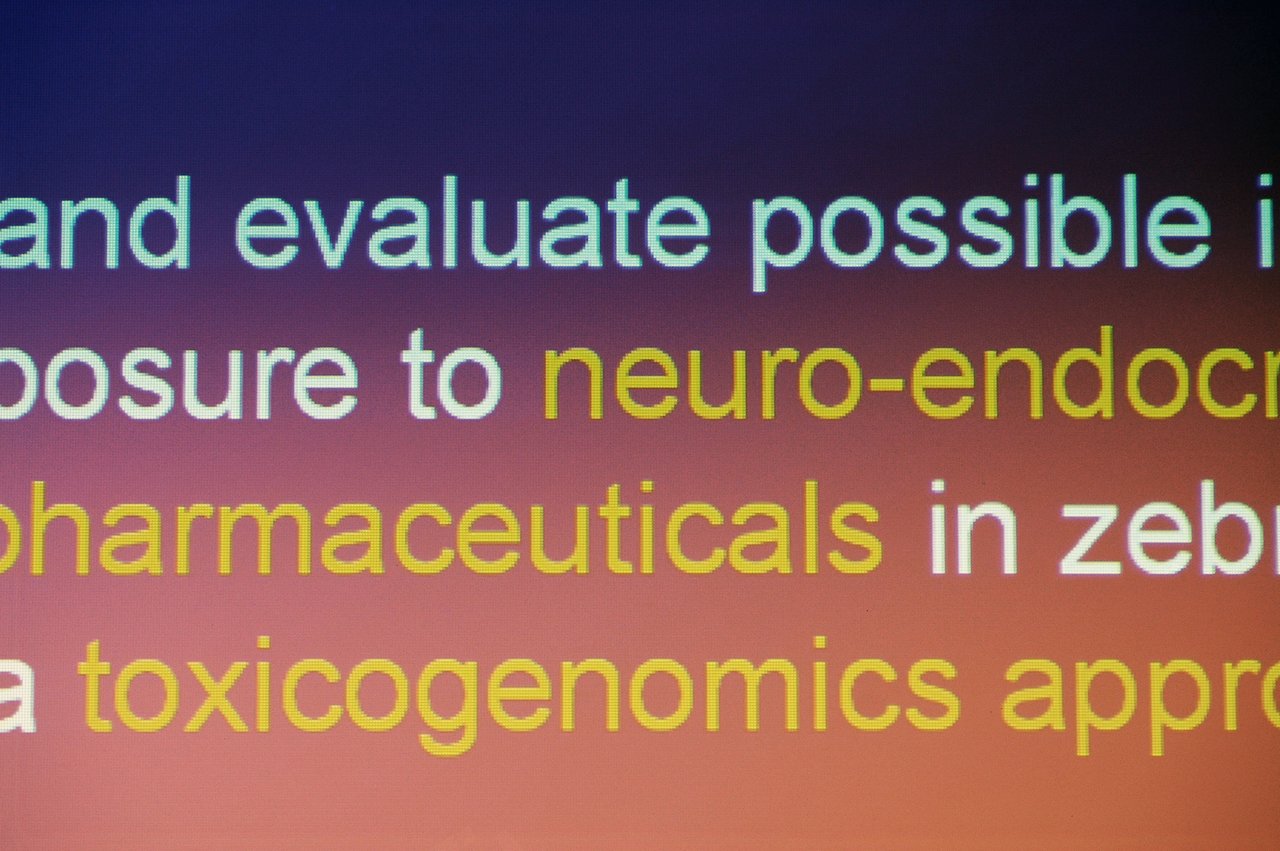 Close-up of a presentation slide about neuro-endocrine exposure, pharmaceuticals, and toxicogenomics in zebrafish research.