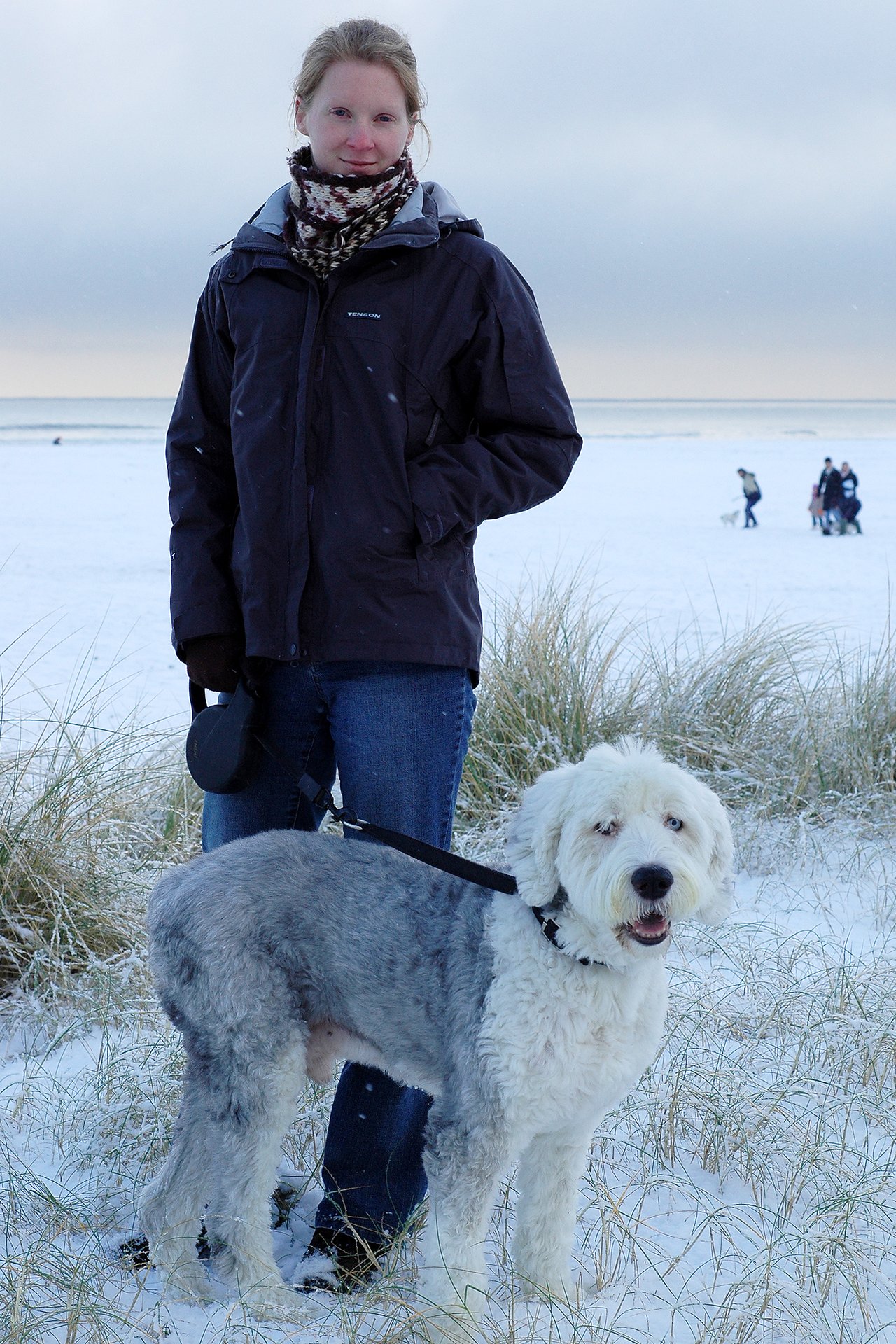A person in a winter jacket stands on a snowy beach, holding a leash attached to a large, fluffy dog.