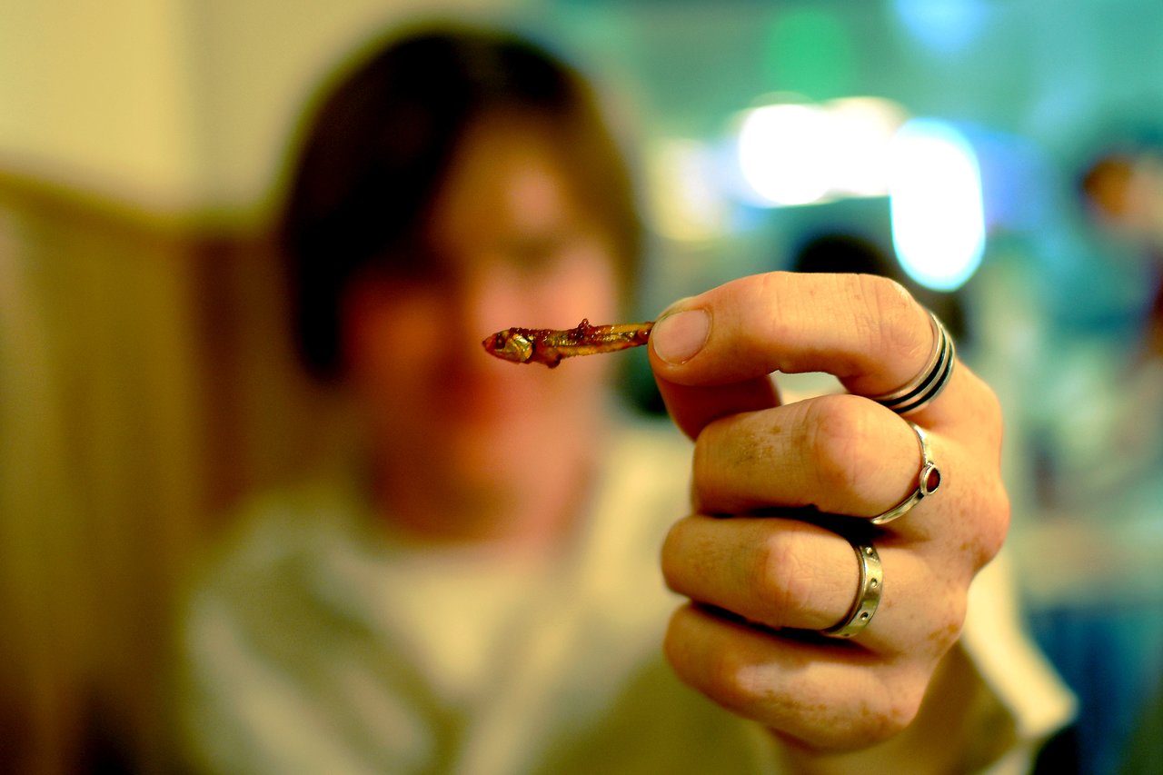 A person holds up a small cooked anchovy between their fingers at a restaurant.