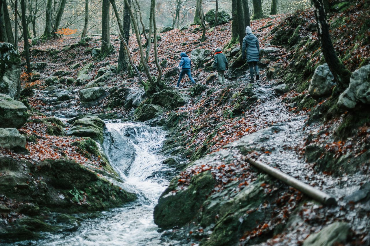Three people in warm clothing hike up a muddy forest trail beside a small rushing stream.