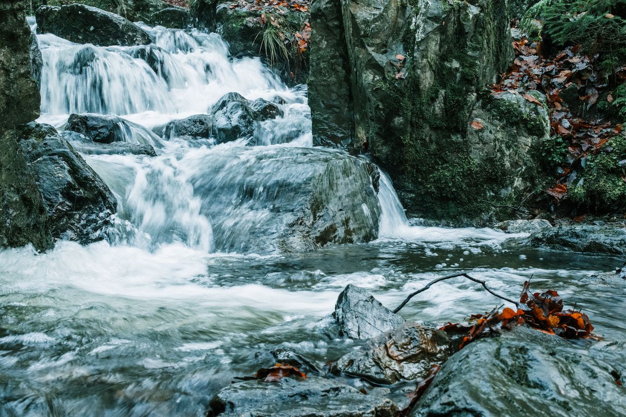 Small cascading waterfalls flow over rocks in a forested area, surrounded by moss and fallen autumn leaves.