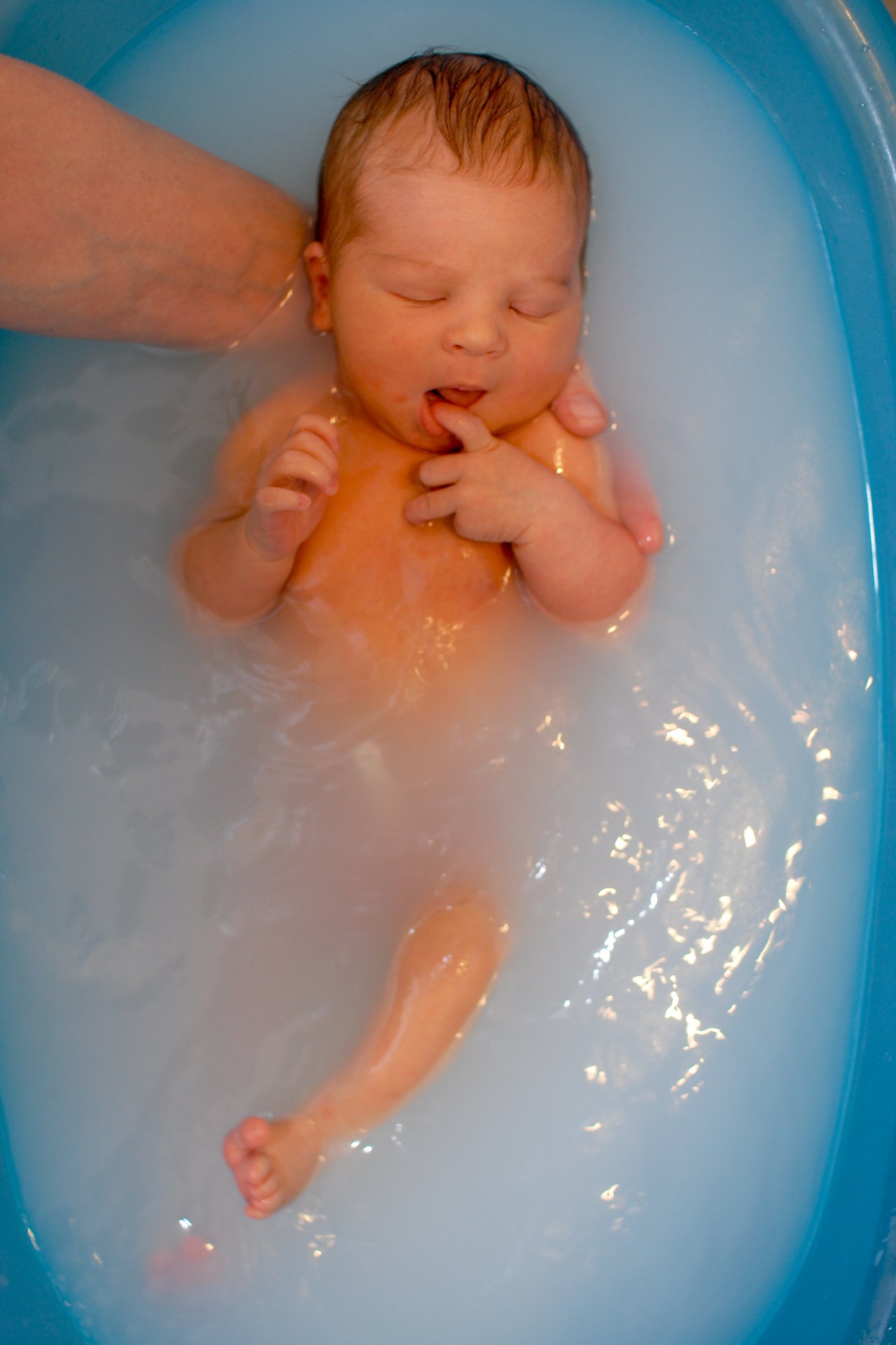 A newborn baby is in a small bathtub with milky water, gently supported by an adult's hand.