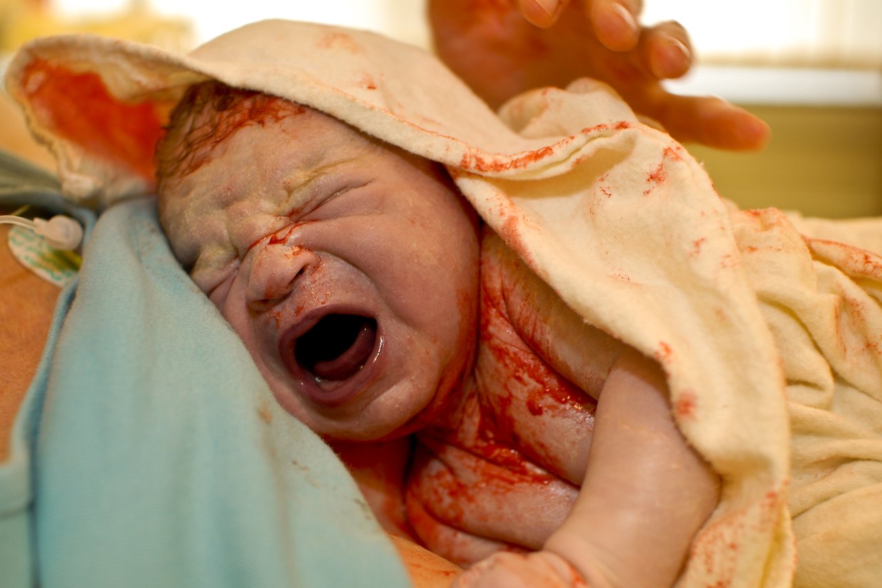 A newborn baby, seconds old, crying while covered in a blanket and placed on a parent's chest.