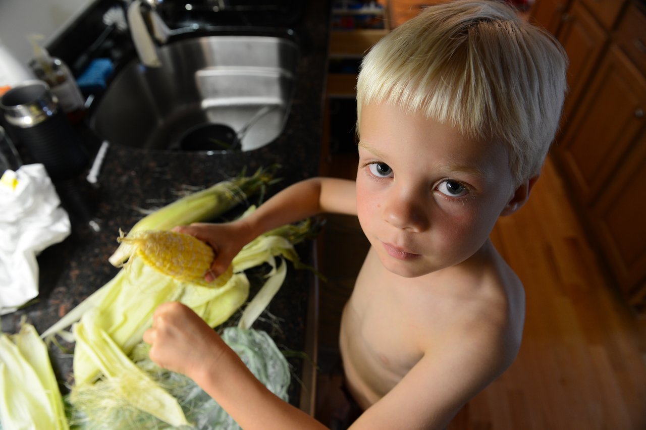 A young child stands in a kitchen, peeling corn husks at the counter while looking up.