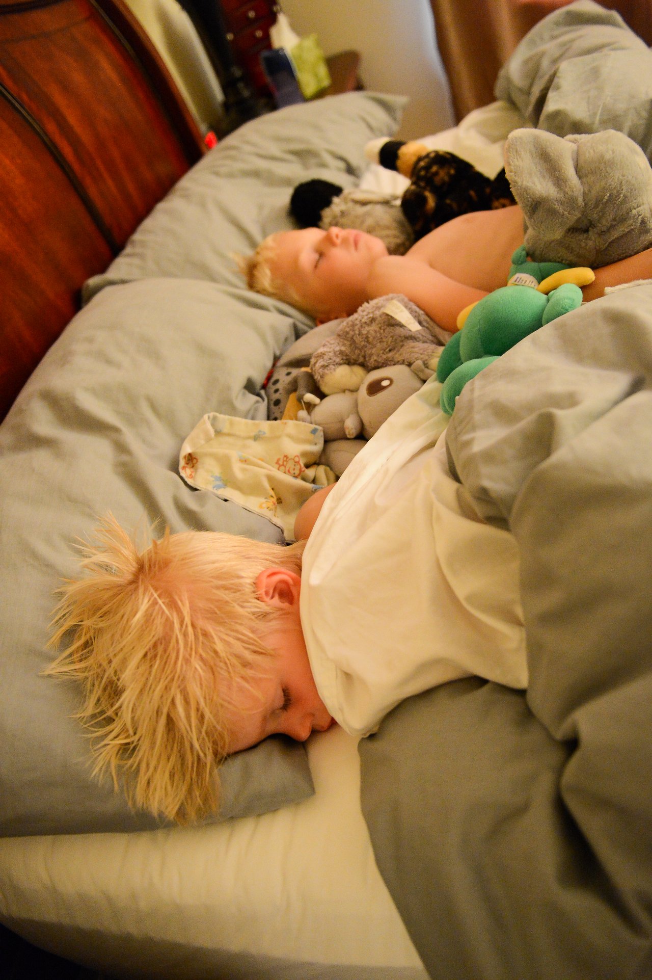Two children are sleeping in bed, surrounded by stuffed animals and blankets.