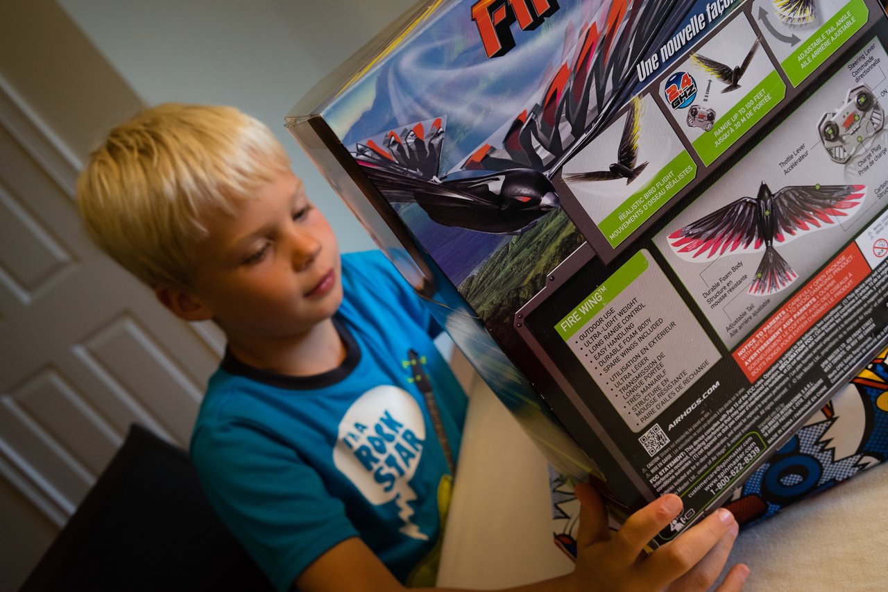 A child in a blue shirt holds and examines a large toy box with a flying bird design.