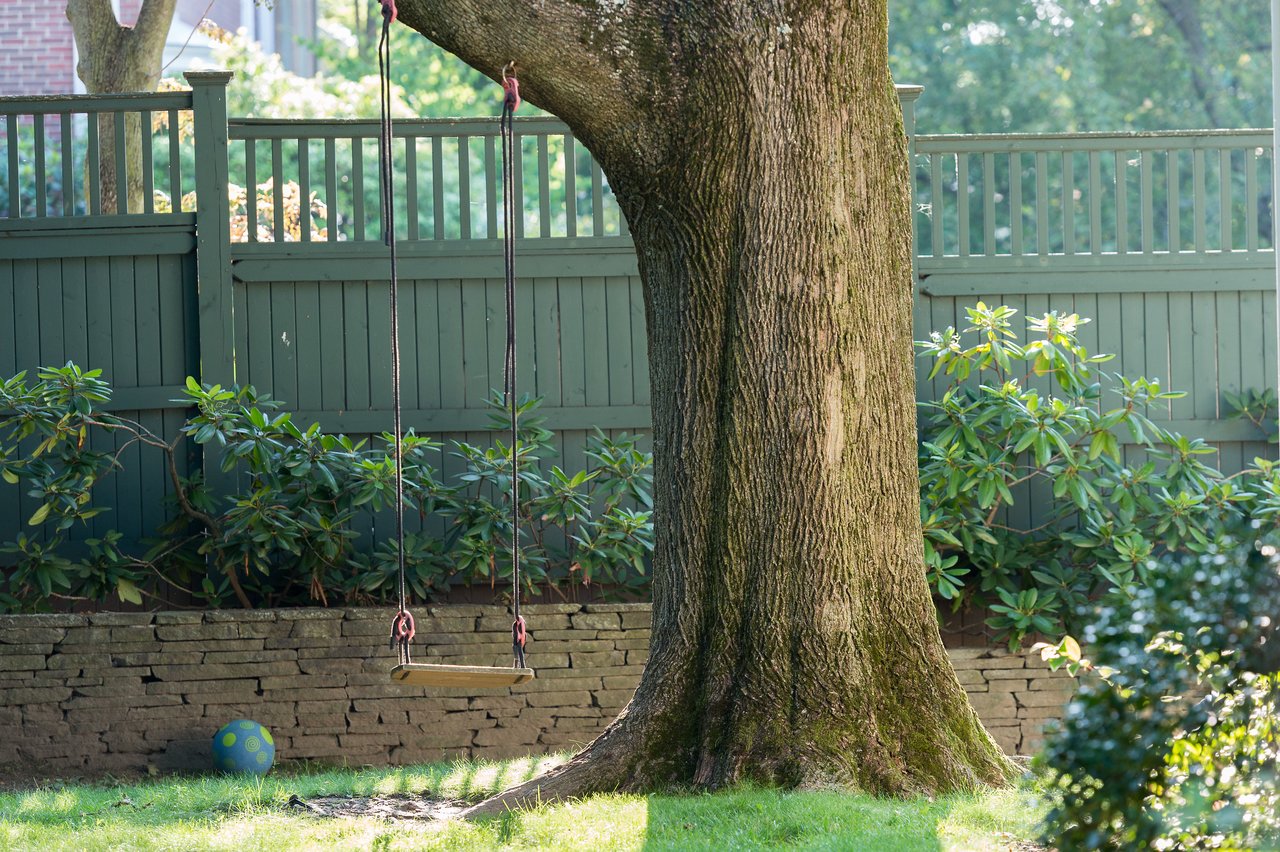 A wooden tree swing hangs from thick ropes on a large tree in a sunny backyard.