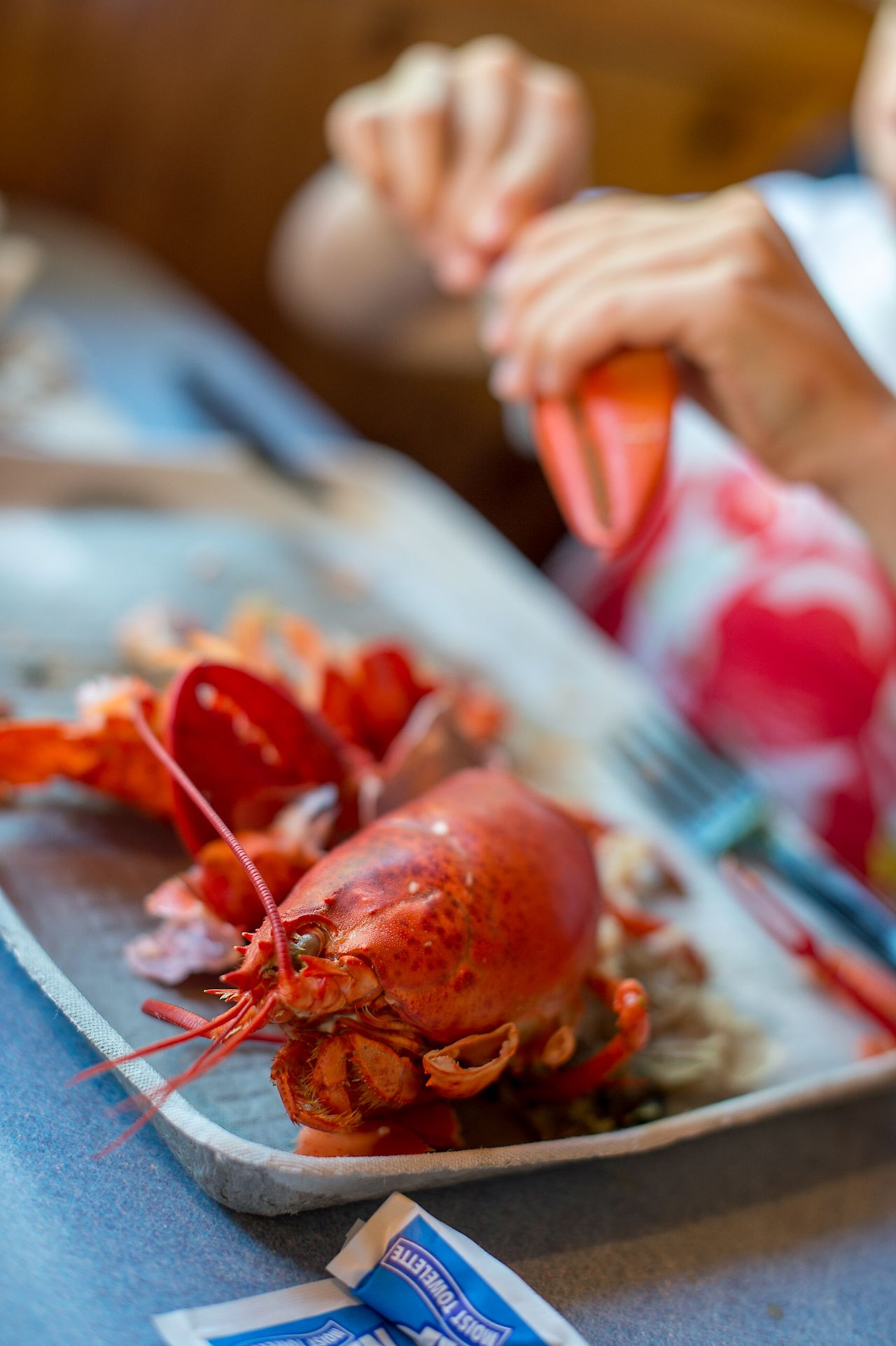 A person cracks open a lobster claw while a cooked lobster sits on a tray at the table.