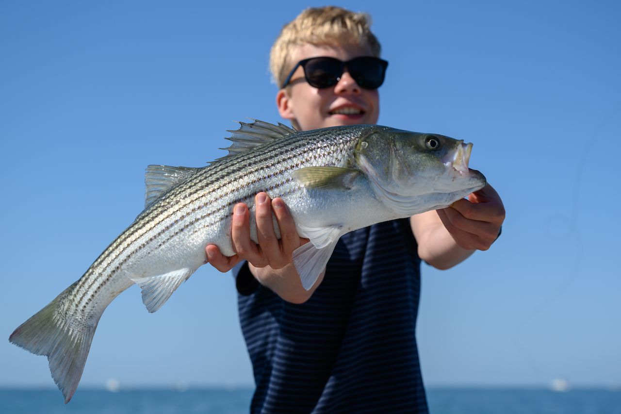 A person wearing sunglasses holds a large striped fish with both hands while smiling on a boat.