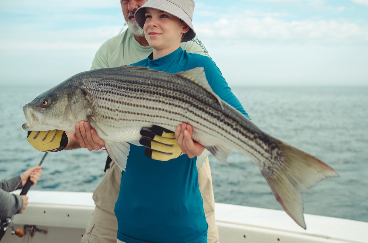 A person in a blue shirt and hat holds a large striped bass while on a boat.