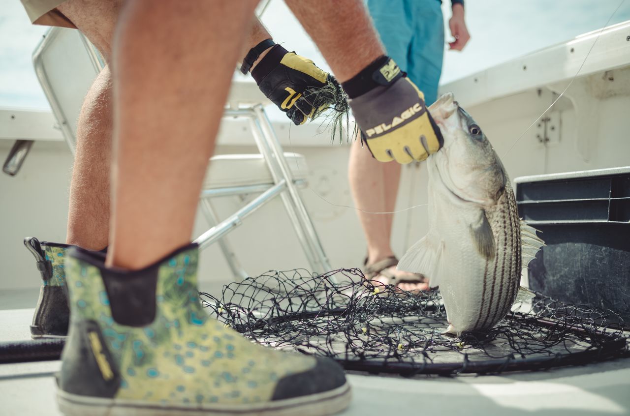 A person wearing gloves lifts a fish out of a fishing net on a boat.