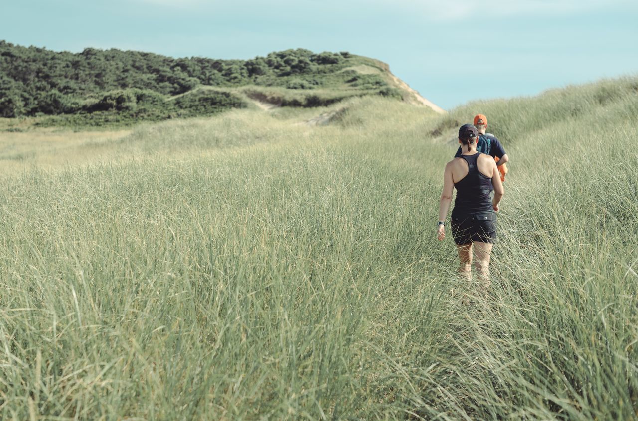 Two people hiking through tall grass on the Great Island Trail in Wellfleet, Massachusetts.