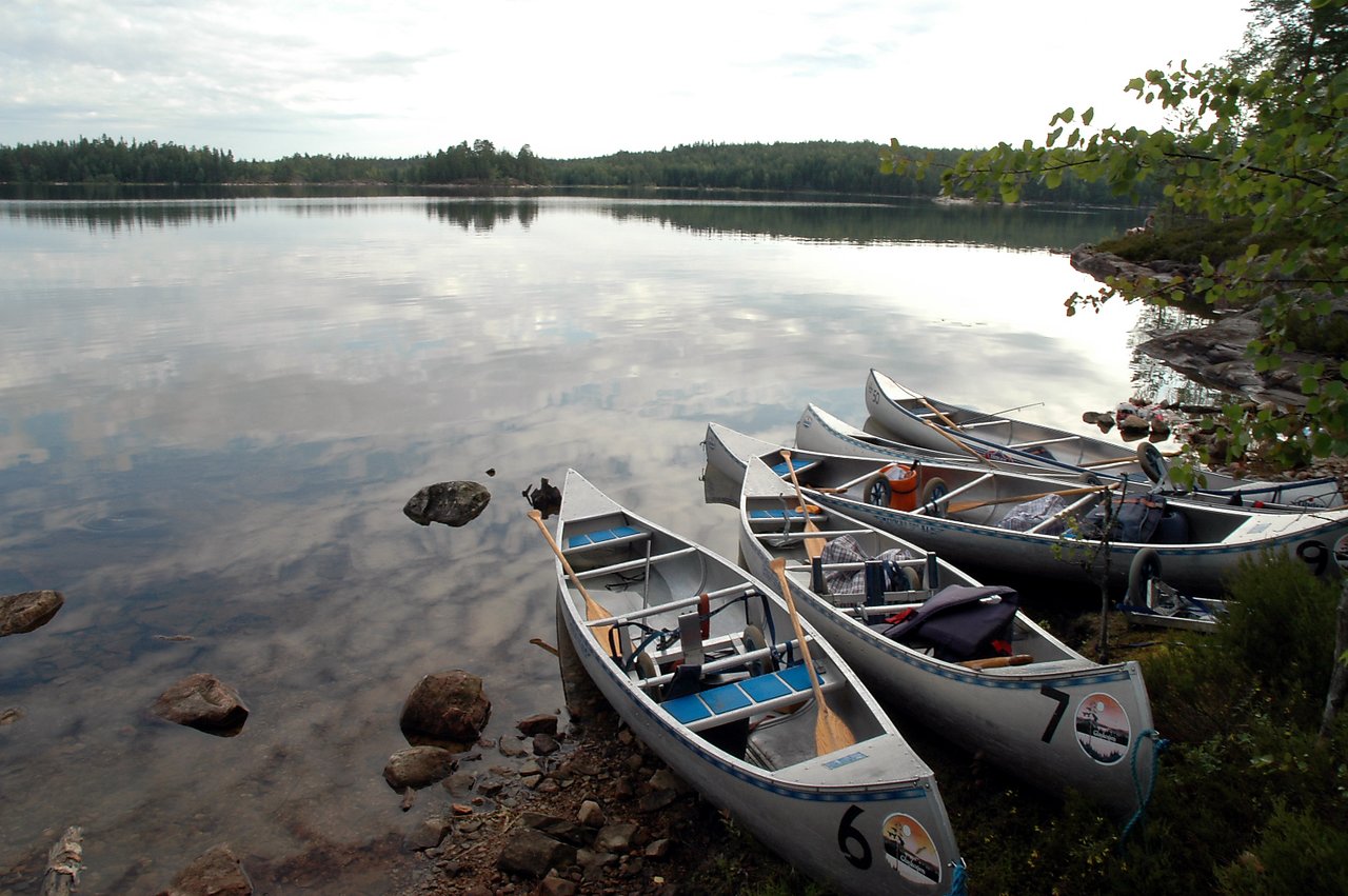 Several canoes with paddles and gear are lined up on the shore of a calm lake in the morning.