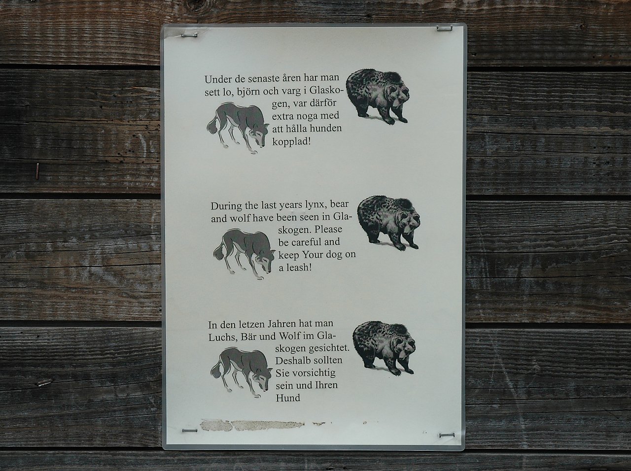 Warning sign about lynx, bears, and wolves in Glaskogen.