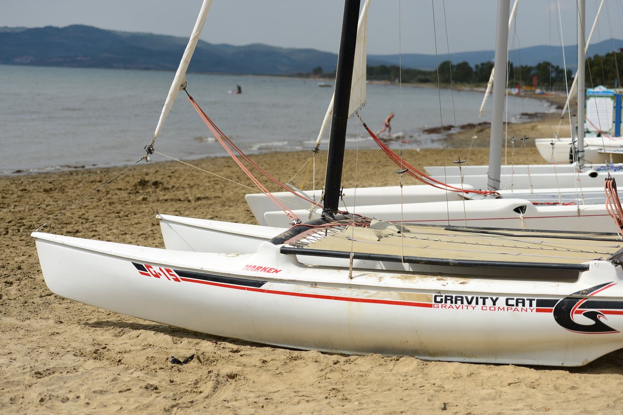Several white catamarans with sails lowered are resting on a sandy beach near the water.