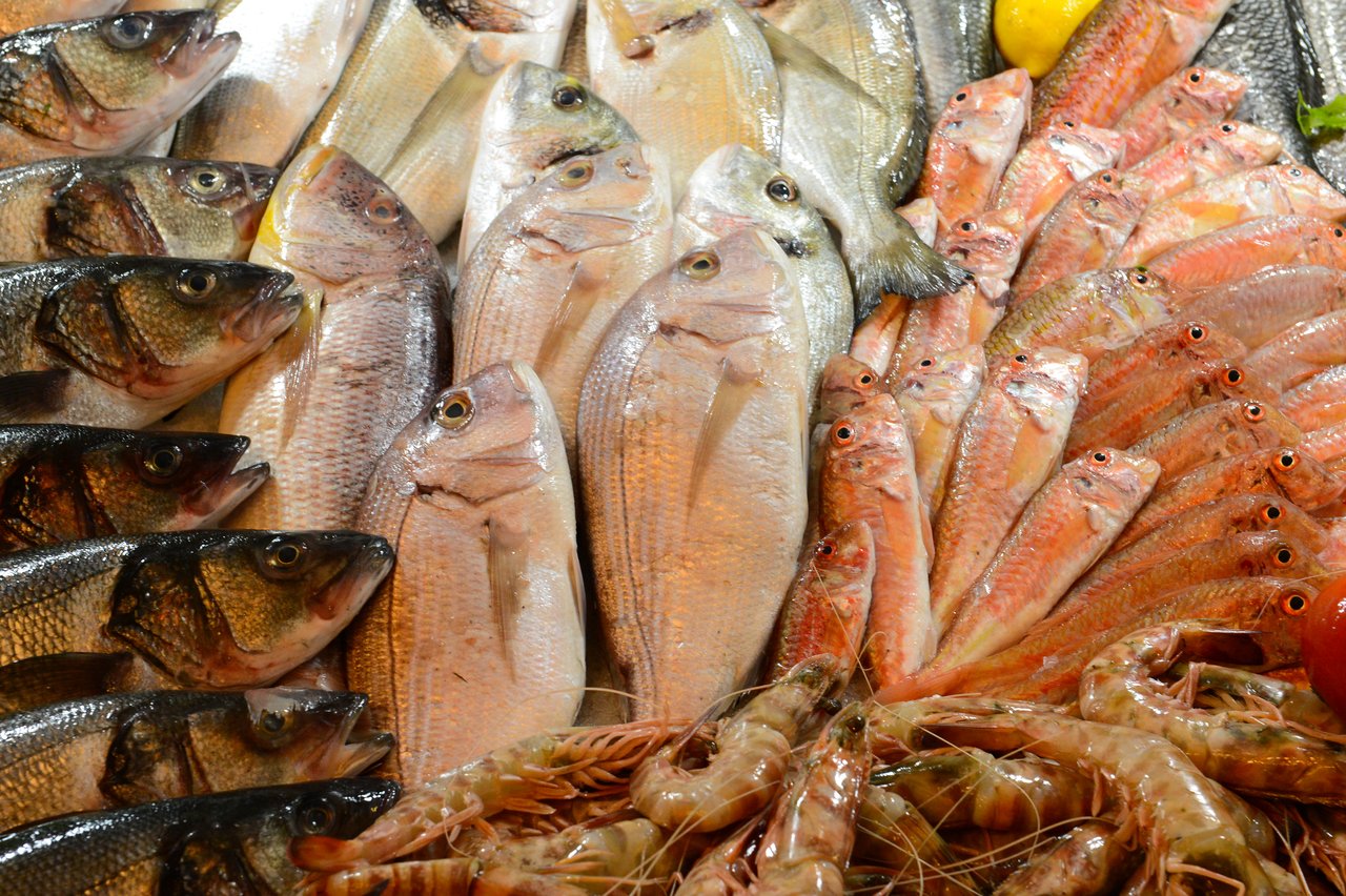 A display of fresh fish and shrimp arranged on a market stall.