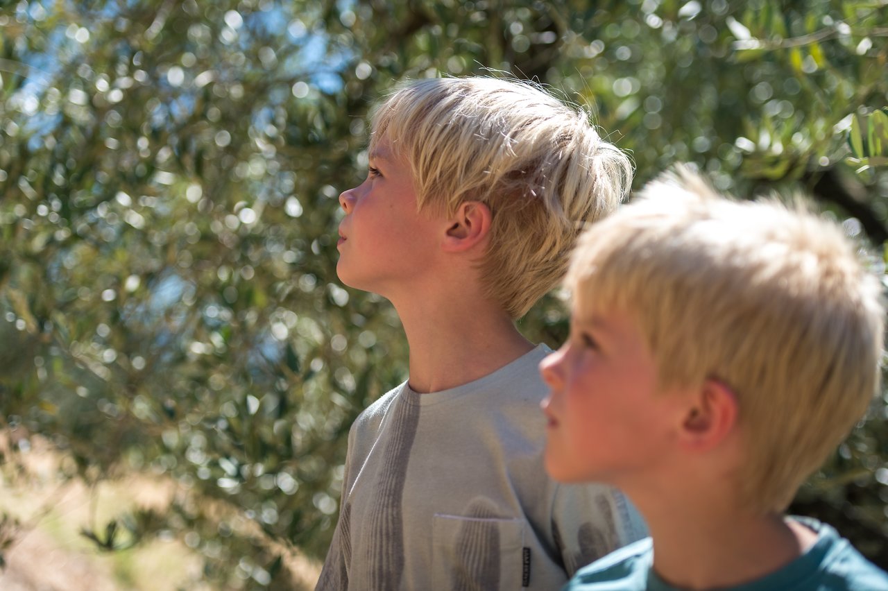 Two children with blond hair look up while standing outdoors near green trees on a sunny day.