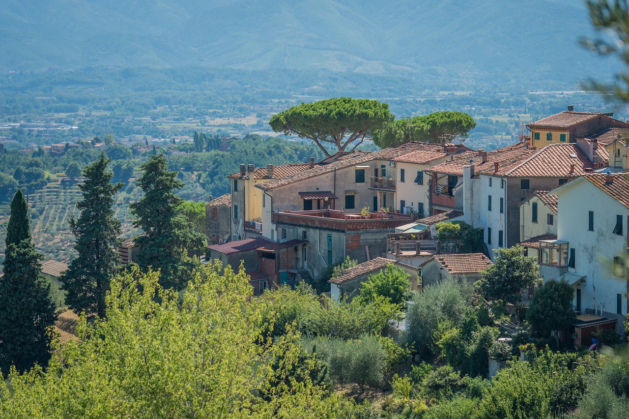 A hillside village with terracotta-roofed houses, green trees, and distant mountains in the background.