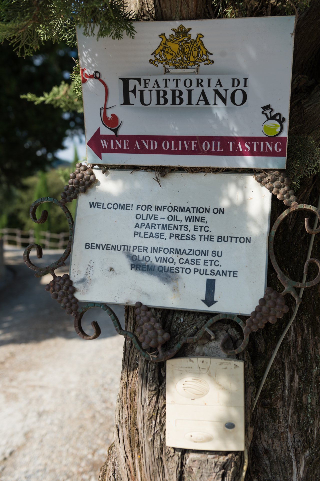 Sign for Fattoria di Fubbiano advertising wine and olive oil tasting, with directions for more information.